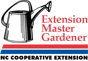 Cover photo for Vegetable Gardening 101