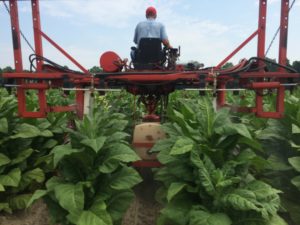 Cover photo for From the Field-Agronomy Notes: Vol. 2, Num. 11