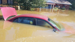 Flooded landscape