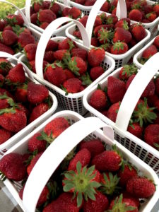 Cover photo for Strawberry Disorders
