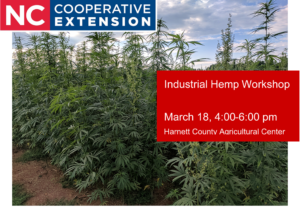 Cover photo for Industrial Hemp Workshop