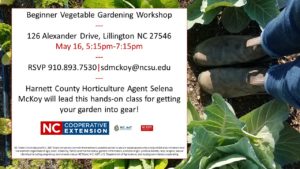 Cover photo for Upcoming Vegetable Gardening Workshops