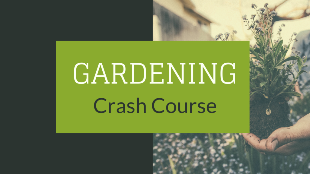Green and gray box reading 'Gardening Crash Course'