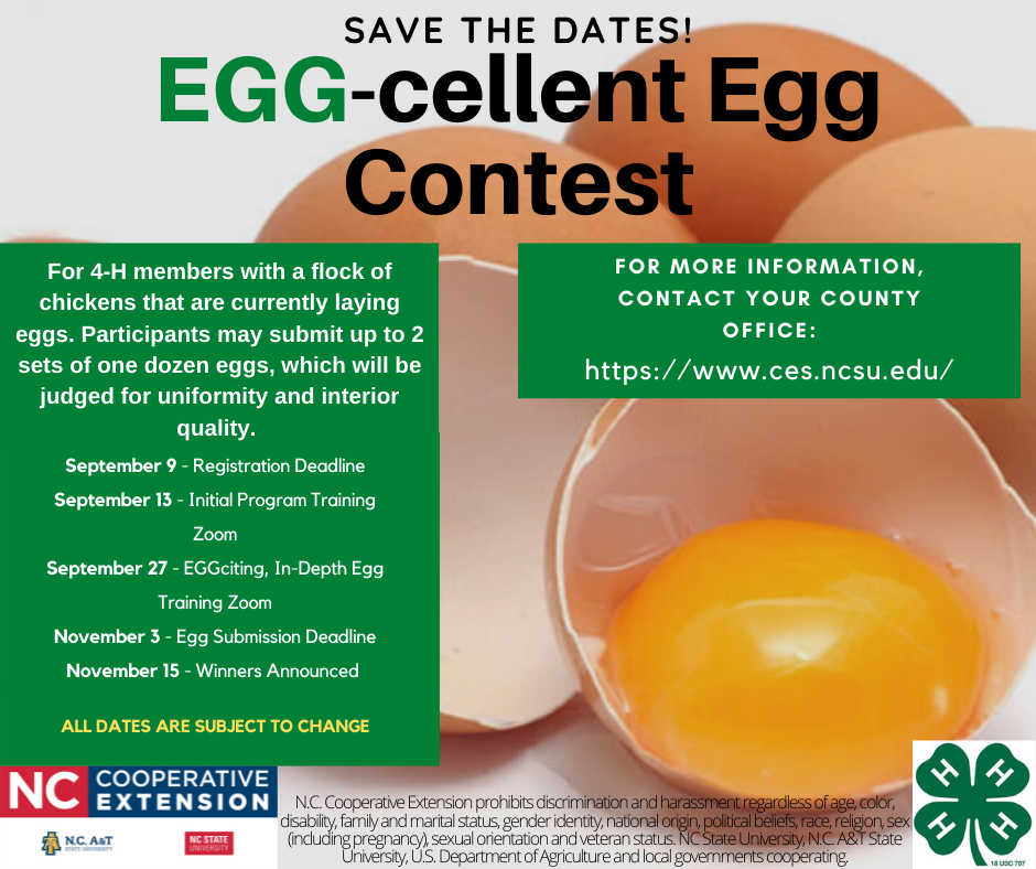 EggCellent Egg Contest Flyer 2022