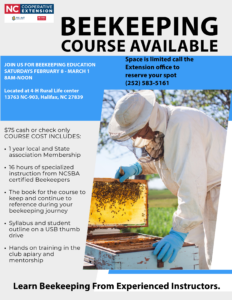 Cover photo for Beekeeping Course Available (Bee School)