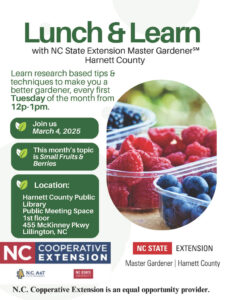 Cover photo for Lunch & Learn With NC State Extension Master Gardener℠ Harnett County  