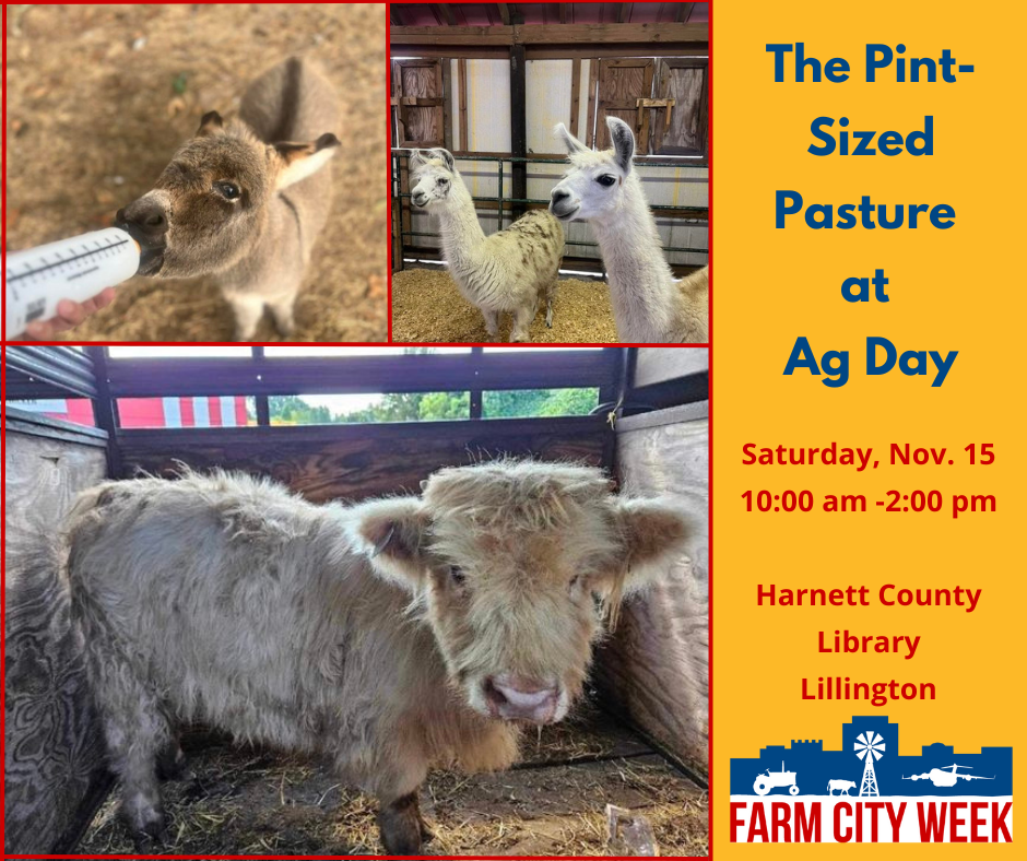 Picture of animals from the Pint-Sized Pastures that will be at Ag Day from 10:00 a.m. till 2:00 p.m. on November 15 at the Lillington Library.