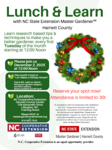 Cover photo for December Lunch & Learn